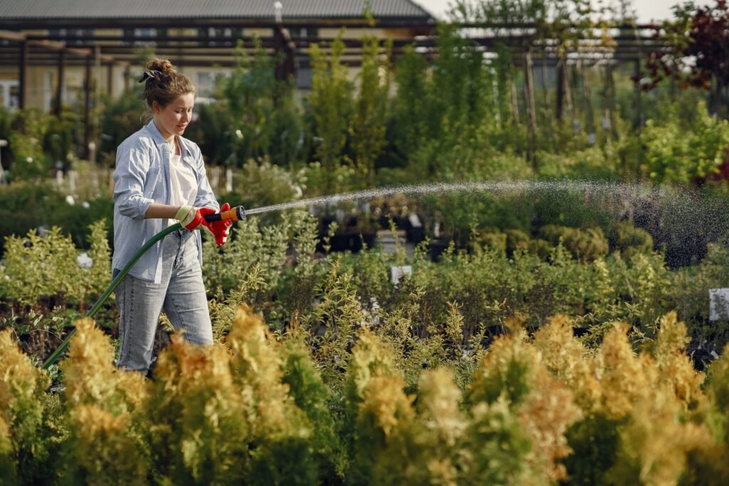 Using a garden pump sprayer to apply pet safe mosquito repellent for yard along fence lines at sunset